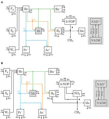 Inhibited Methanogenesis in the Rumen of Cattle: Microbial Metabolism in Response to Supplemental 3-Nitrooxypropanol and Nitrate